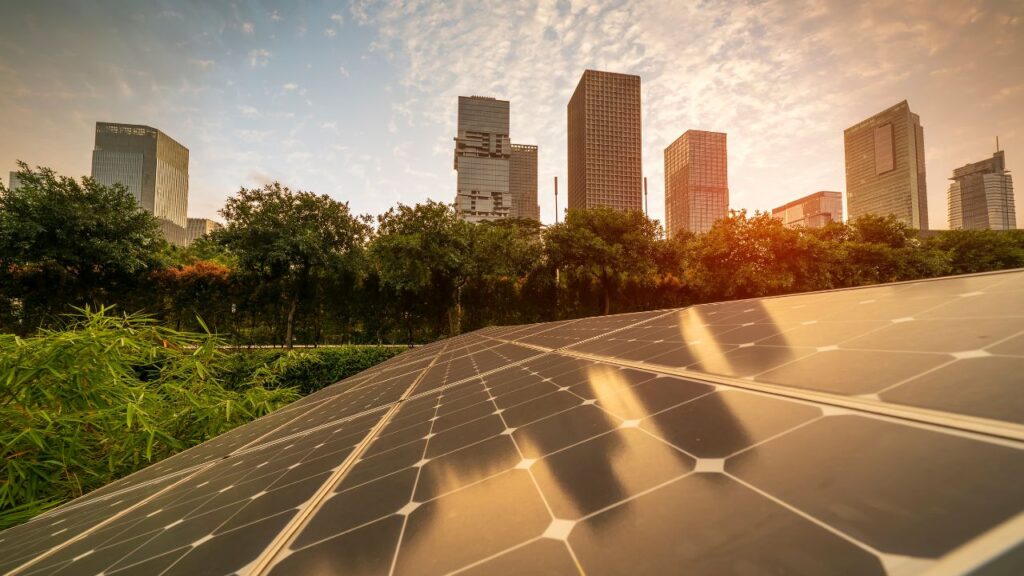 red energy solar feed-in tariff