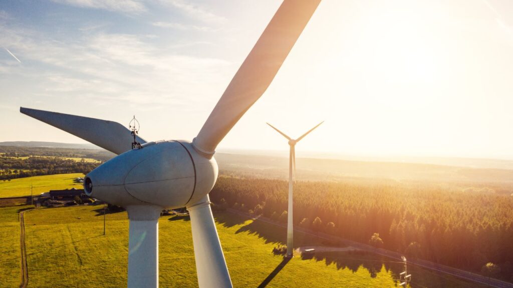 why solar and wind energy are both examples of renewable energy