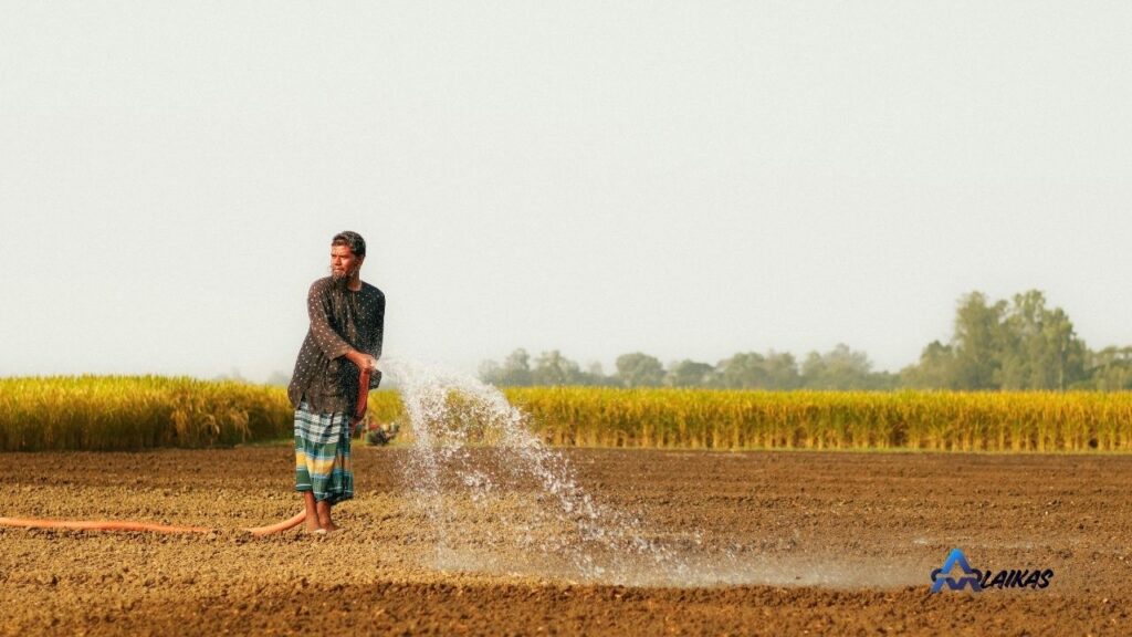 Irrigation Service